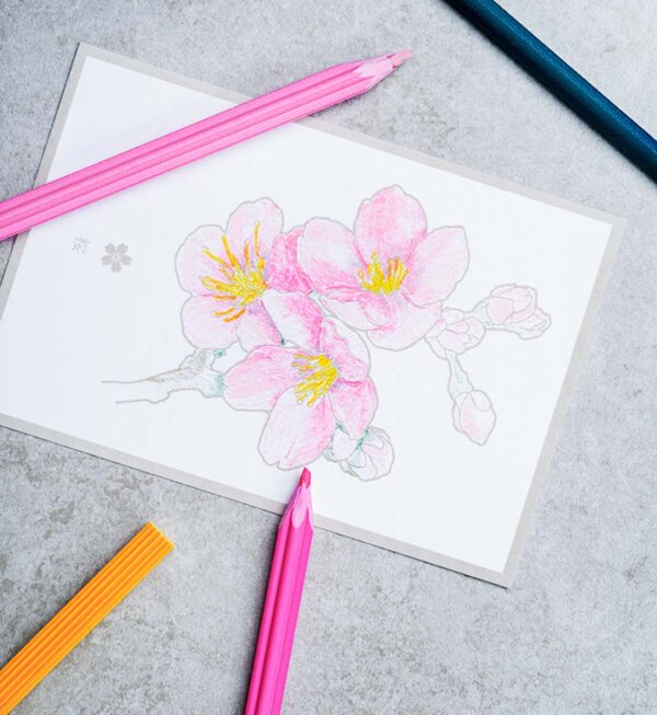 Set aus 5 Farbstiften. Form und Farben sind angelehnt an die traditionell, japanischen Blumentradition.