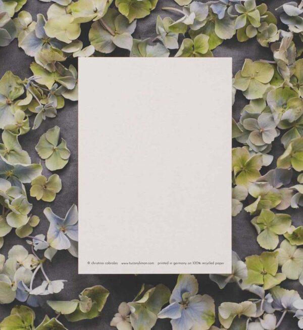 Postkarte Melone Sweet Wishes – Bild 2