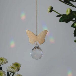 Lichtfänger Mariposa